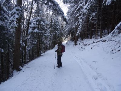 Kliknite za ogled večje slike