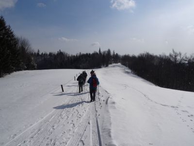 Kliknite za ogled večje slike