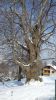 20180321_092239.jpg