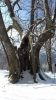 20180321_092337.jpg