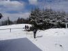 DSC09753.JPG