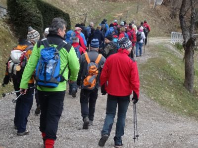 Kliknite za ogled večje slike