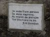 DSC09851.JPG