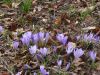 DSC09877.JPG