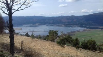 Kliknite za ogled večje slike