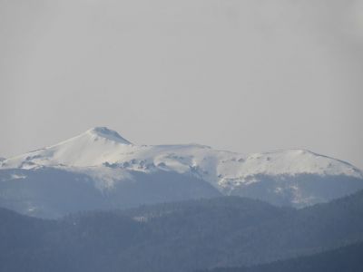 Kliknite za ogled večje slike