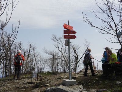 Kliknite za ogled večje slike