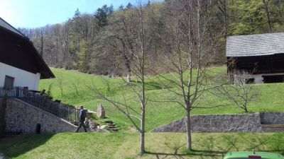 Kliknite za ogled večje slike