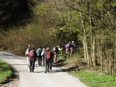Kliknite za ogled večje slike