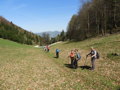 Kliknite za ogled večje slike