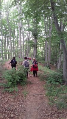 Kliknite za ogled večje slike