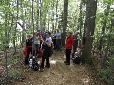 Kliknite za ogled večje slike