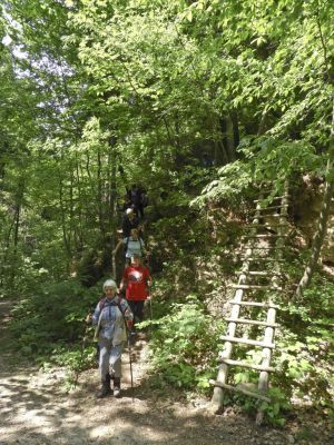 Kliknite za ogled večje slike