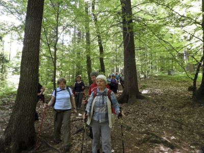 Kliknite za ogled večje slike