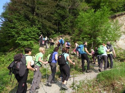 Kliknite za ogled večje slike