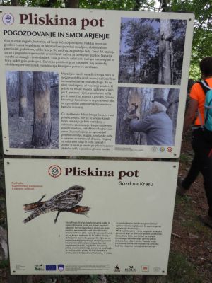 Kliknite za ogled večje slike