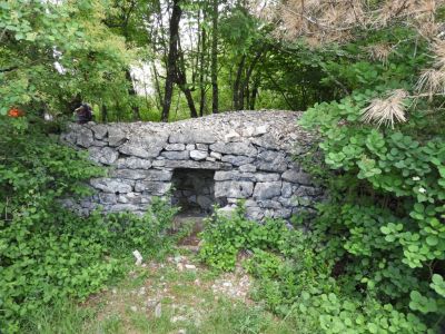 Kliknite za ogled večje slike