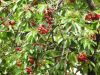 DSCN3848.JPG