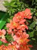 DSCN3850.JPG