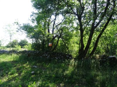 Kliknite za ogled večje slike