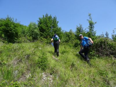 Kliknite za ogled večje slike
