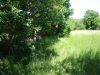 DSC00333.JPG