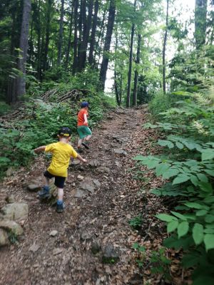 Kliknite za ogled večje slike