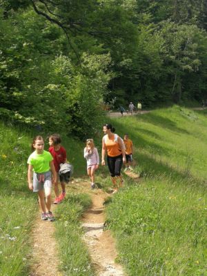 Kliknite za ogled večje slike