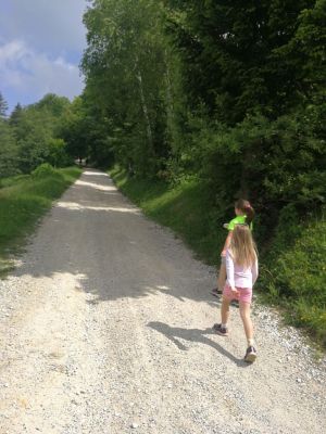 Kliknite za ogled večje slike