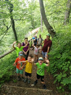 Kliknite za ogled večje slike