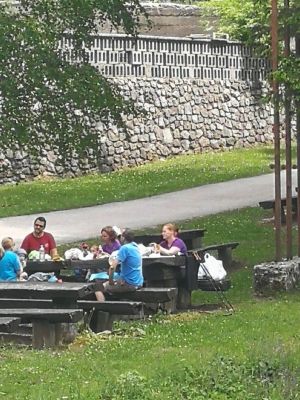 Kliknite za ogled večje slike