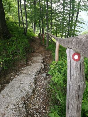 Kliknite za ogled večje slike