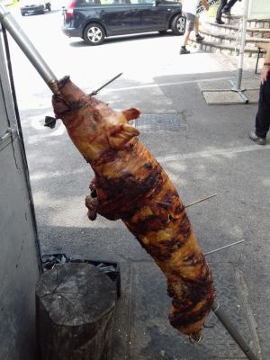 Kliknite za ogled večje slike