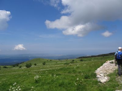 Kliknite za ogled večje slike