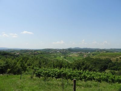 Kliknite za ogled večje slike