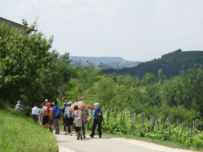 Kliknite za ogled večje slike