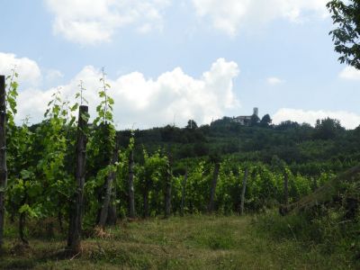 Kliknite za ogled večje slike