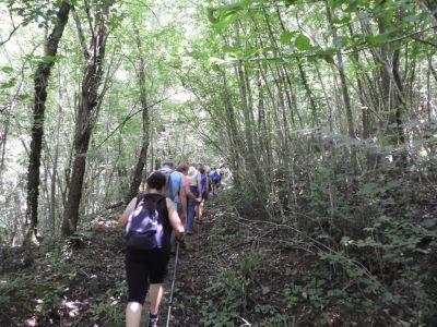 Kliknite za ogled večje slike