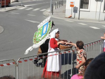 Kliknite za ogled večje slike