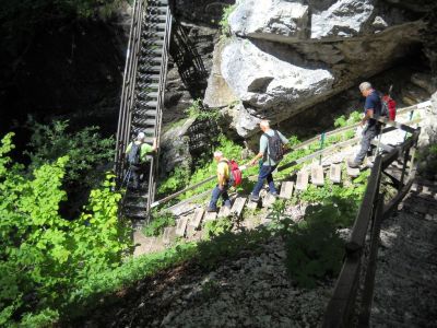 Kliknite za ogled večje slike