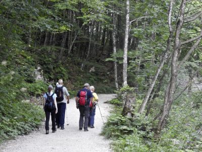 Kliknite za ogled večje slike