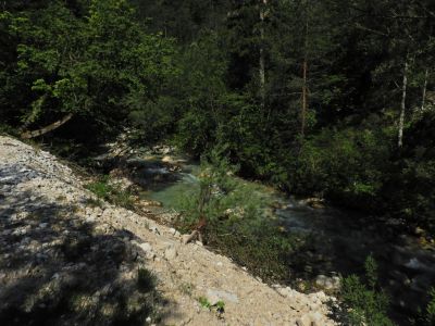 Kliknite za ogled večje slike