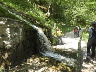 Kliknite za ogled večje slike
