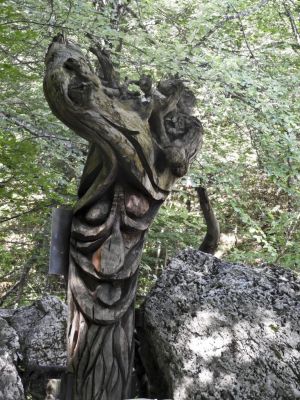 Kliknite za ogled večje slike