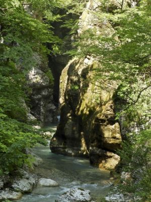 Kliknite za ogled večje slike