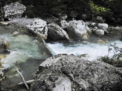 Kliknite za ogled večje slike