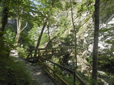 Kliknite za ogled večje slike