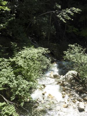 Kliknite za ogled večje slike