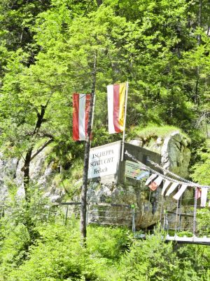 Kliknite za ogled večje slike