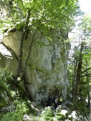 Kliknite za ogled večje slike